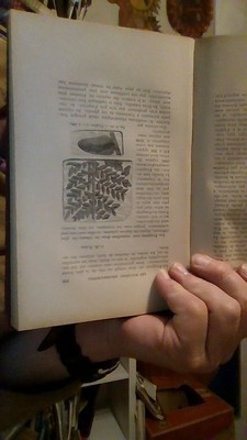 bookImage