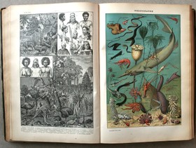 bookImage