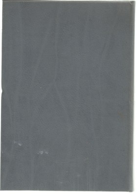 bookImage