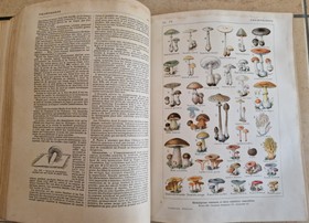 bookImage